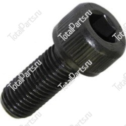 TOTALPARTS 000029133 ВИНТ С ШЕСТИГРАННЫМ ОТВЕРСТИЕМ В ГОЛОВКЕ