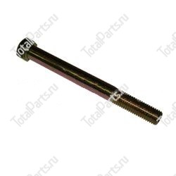 TCM 0110310095 БОЛТ