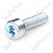 TOTALPARTS 000064974 ВИНТ С ШЕСТИГРАННЫМ ОТВЕРСТИЕМ В ГОЛОВКЕ