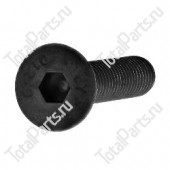 OM PIMESPO (FIAT) 010573 ВИНТ С ШЕСТИГРАННЫМ ОТВЕРСТИЕМ В ГОЛОВКЕ