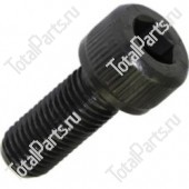 TOTALPARTS 000029133 ВИНТ С ШЕСТИГРАННЫМ ОТВЕРСТИЕМ В ГОЛОВКЕ