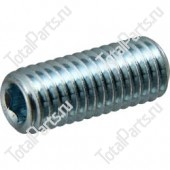 TOTALPARTS 000041591 СТОПОРНЫЙ БОЛТ