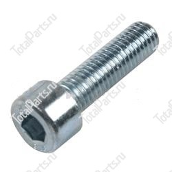 TOYOTA 005917536581 ВИНТ С ШЕСТИГРАННЫМ ОТВЕРСТИЕМ В ГОЛОВКЕ