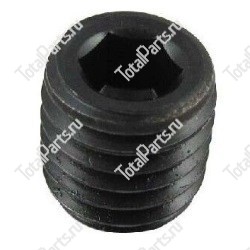 TCM 0106608008 ВИНТ