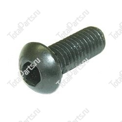 BT 0135196CE ВИНТ С ШЕСТИГРАННЫМ ОТВЕРСТИЕМ В ГОЛОВКЕ