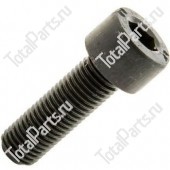 EP FORKLIFTS 000000066100 ВИНТ С ШЕСТИГРАННЫМ ОТВЕРСТИЕМ В ГОЛОВКЕ