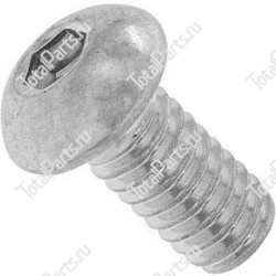 TOTALPARTS 000009157 ВИНТ С ШЕСТИГРАННЫМ ОТВЕРСТИЕМ В ГОЛОВКЕ