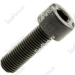 EP FORKLIFTS 000000066100 ВИНТ С ШЕСТИГРАННЫМ ОТВЕРСТИЕМ В ГОЛОВКЕ